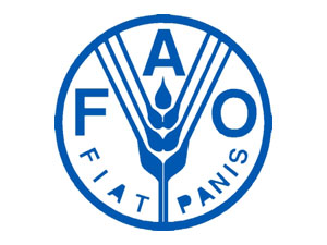 ФАО и ВОЗ внедряют системный подход  к безопасности пищевых продуктов