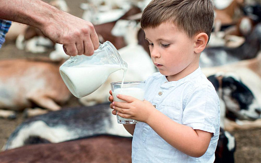 Молочный вопрос – что происходит с ценами на сырое молоко в России
